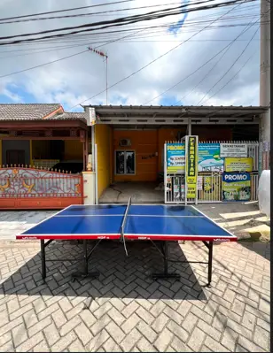 Meja Tenis